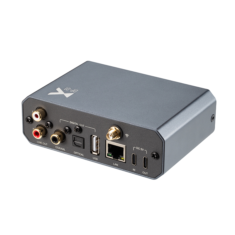 xDuoo DP-01 Lossless Music Str - Audio Without Music บทวิจารณ์และราคา